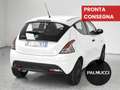 Lancia Ypsilon Ypsilon 1.2 69 CV 5 porte GPL Ecochic Elefantino - thumbnail 3