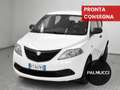Lancia Ypsilon Ypsilon 1.2 69 CV 5 porte GPL Ecochic Elefantino - thumbnail 1