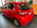 Toyota Yaris Yaris 5p 1.5h Active my18 Rosso - thumbnail 2