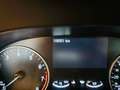 Ford EcoSport ST-Line Navi Blau - thumbnail 10