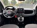 Fiat Panda 1.0 FIREFLY S&S HYBRID CITY LIFE+U-CONNECT+USB!!! Bianco - thumbnail 15