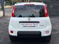 Fiat Panda 1.0 FIREFLY S&S HYBRID CITY LIFE+U-CONNECT+USB!!! Bianco - thumbnail 5