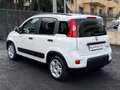 Fiat Panda 1.0 FIREFLY S&S HYBRID CITY LIFE+U-CONNECT+USB!!! Bianco - thumbnail 4
