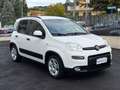 Fiat Panda 1.0 FIREFLY S&S HYBRID CITY LIFE+U-CONNECT+USB!!! Bianco - thumbnail 3