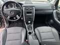 Mercedes-Benz B 170 Special Edition*Navi*Sitzheizung*Pano* Gris - thumbnail 13