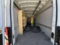 Ford Transit 350 L4 Trend KLIMA TEMPOMAT NAVI R-KAM Weiß - thumbnail 13