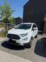Ford EcoSport 1.0 EcoBoost FWD Titanium (EU6d) Blanc - thumbnail 5