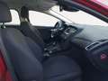 Ford Focus Titanium Rouge - thumbnail 11