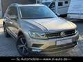 Volkswagen Tiguan 2,0 TDI DSG Highline 4M Navi Kam LED Pano Beige - thumbnail 1