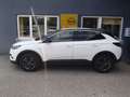 Opel Grandland X Design Line, AHV Weiß - thumbnail 1