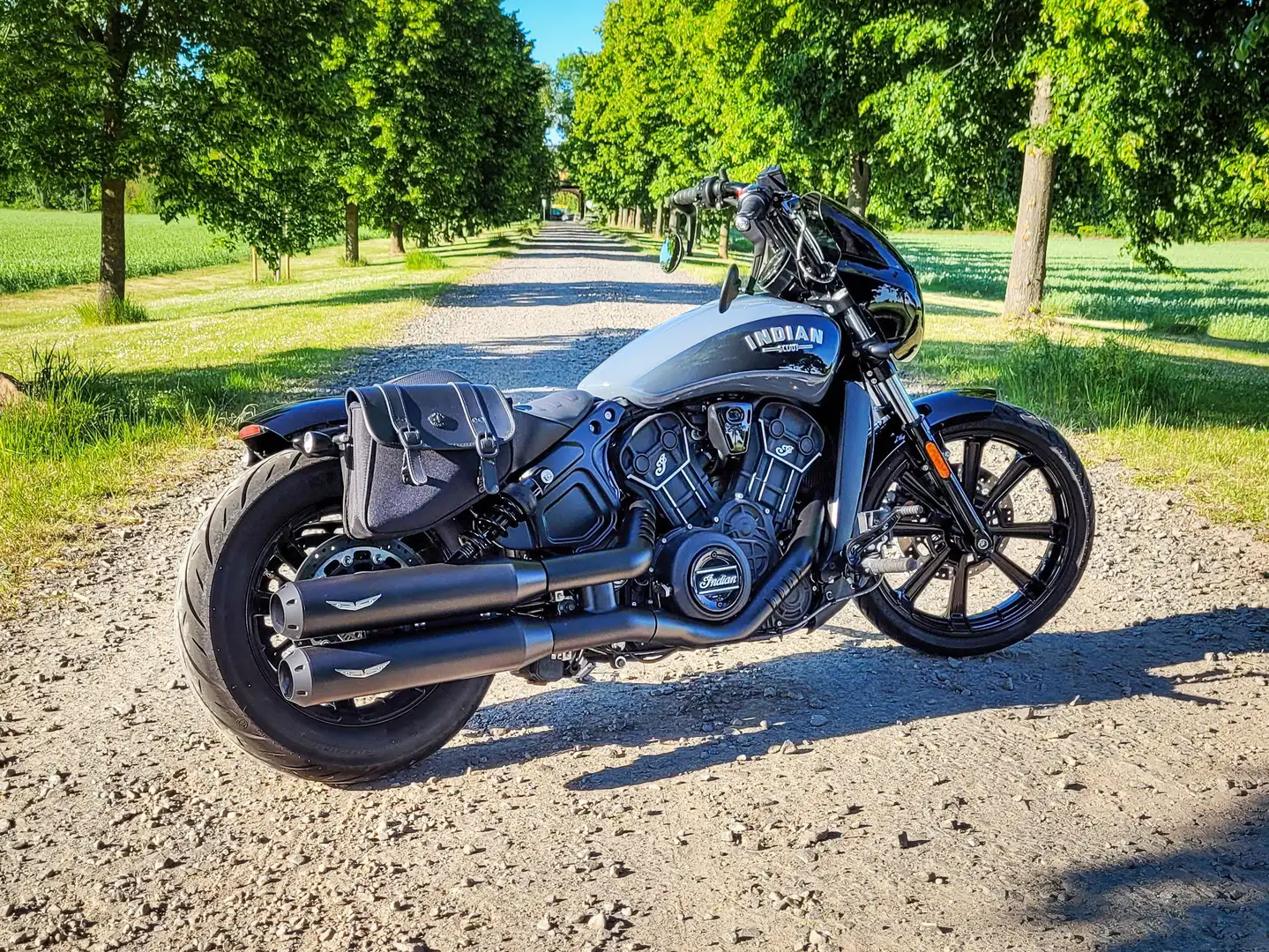 Indian Scout Rogue Grau - 1