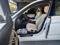 BMW 318 318d Luxury granturismo Bianco - thumbnail 7