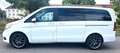 Mercedes-Benz V 220 V -Klasse V 220/250 d SCORE lang Weiß - thumbnail 3