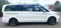 Mercedes-Benz V 220 V -Klasse V 220/250 d SCORE lang Weiß - thumbnail 7