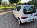 Fiat Seicento Seicento II 2006 1.1 Active abs Bianco - thumbnail 6
