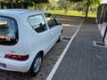 Fiat Seicento Seicento II 2006 1.1 Active abs Bianco - thumbnail 7