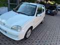 Fiat Seicento Seicento II 2006 1.1 Active abs Bianco - thumbnail 3