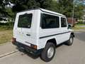 Mercedes-Benz G 300 D Motor  überholt mit Rechnung H-Zul. Top Blanc - thumbnail 4