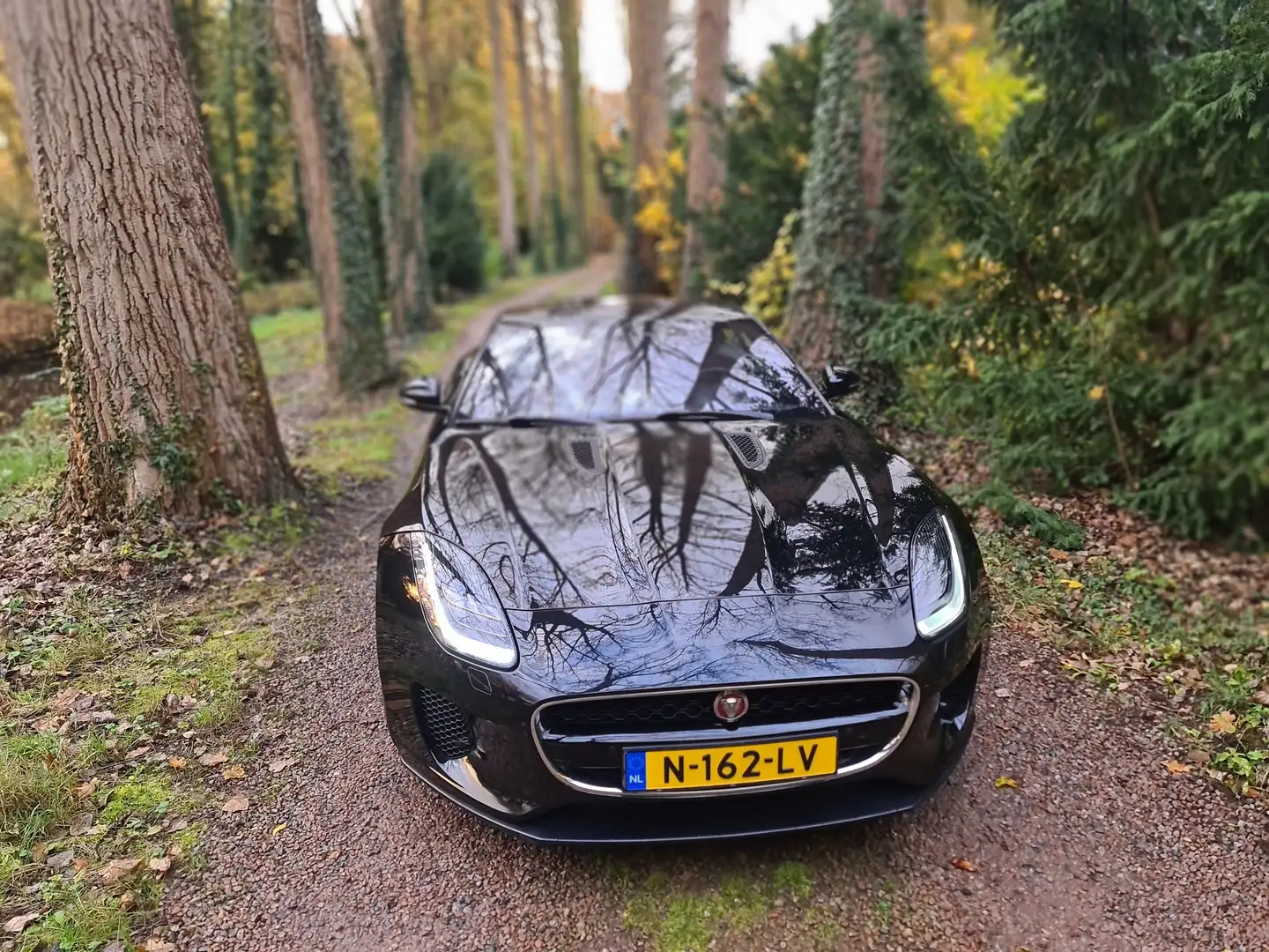 Jaguar F-Type F-Type 3.0 V6 RWD R-Dyn. Zwart - 1