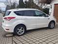 Ford Kuga Kuga 2.0 TDCi 4x4 Aut. Individual Blanco - thumbnail 5