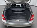 Mercedes-Benz C 250 CDI BlueEFFICIENCY 4MATIC T-Modell AVANTGARDE Grau - thumbnail 21