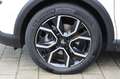 Citroen C4 X e-SHINE PACK ACC+LED+Navi+SHZ+Kamera+ Weiß - thumbnail 27