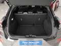 Ford Puma 1.0 EcoBoost MHEV ST-Line X 125 Gris - thumbnail 15