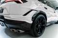Lamborghini Urus Performante 2024 WHITE/RED CARBON HOOD FULL Білий - thumbnail 8