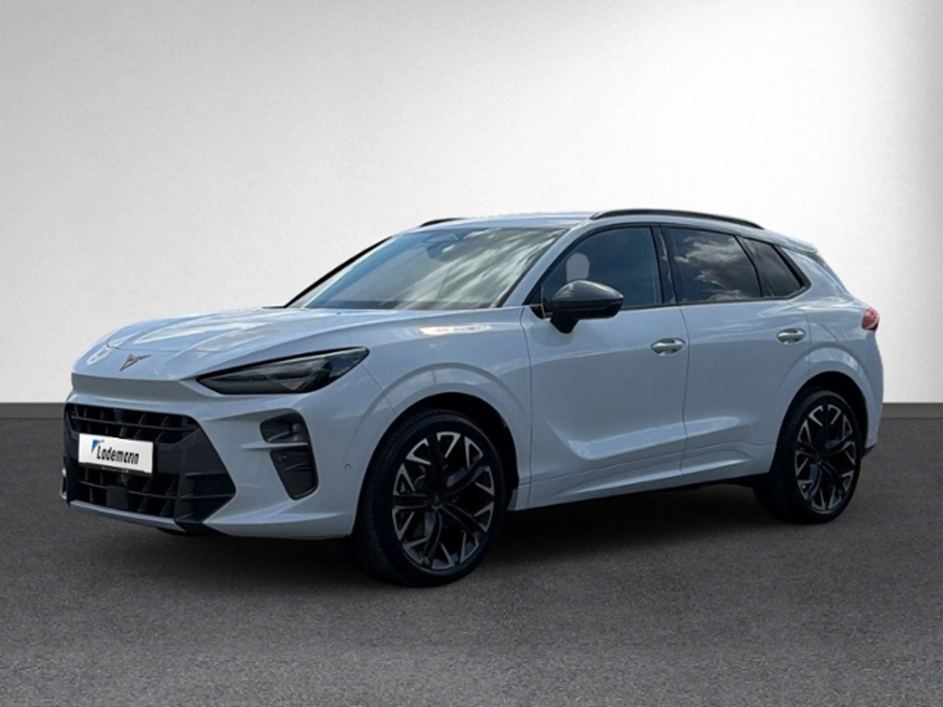 CUPRA Terramar 2.0 TSI 4Drive AHK+NAVI+RFK+eHECK+HEAD+ — photo 2