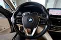 BMW 520 d xDrive Business AUTO. - PELLE/NAVI PRO/ADAS/TEL. Blu/Azzurro - thumbnail 19