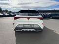 CUPRA Leon 2.0 TDI DSG 173€ m. 20% Anzahlung Navi SHZ Kamer Weiß - thumbnail 7
