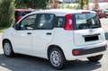 Fiat Panda 1.0 FireFly S&S Hybrid Easy Bianco - thumbnail 8