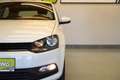 Volkswagen Polo 1.0 "KLIMA" Weiß - thumbnail 10