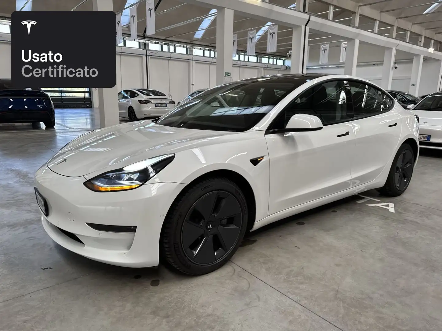 Tesla Model 3 Long Range AWD Bianco - 1