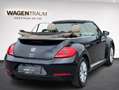 Volkswagen Beetle Design 1,2 TSI BlueMotion 105 PS Schwarz - thumbnail 6