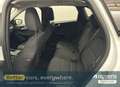 Ford Kuga 2.5 Duratec PHEV - thumbnail 10