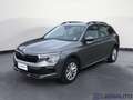 Skoda Kamiq KAMIQ 1.0 TSI SELECTION Grigio - thumbnail 1