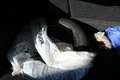 Renault Clio R Authentique 1,2 ben/Kat Blau - thumbnail 14