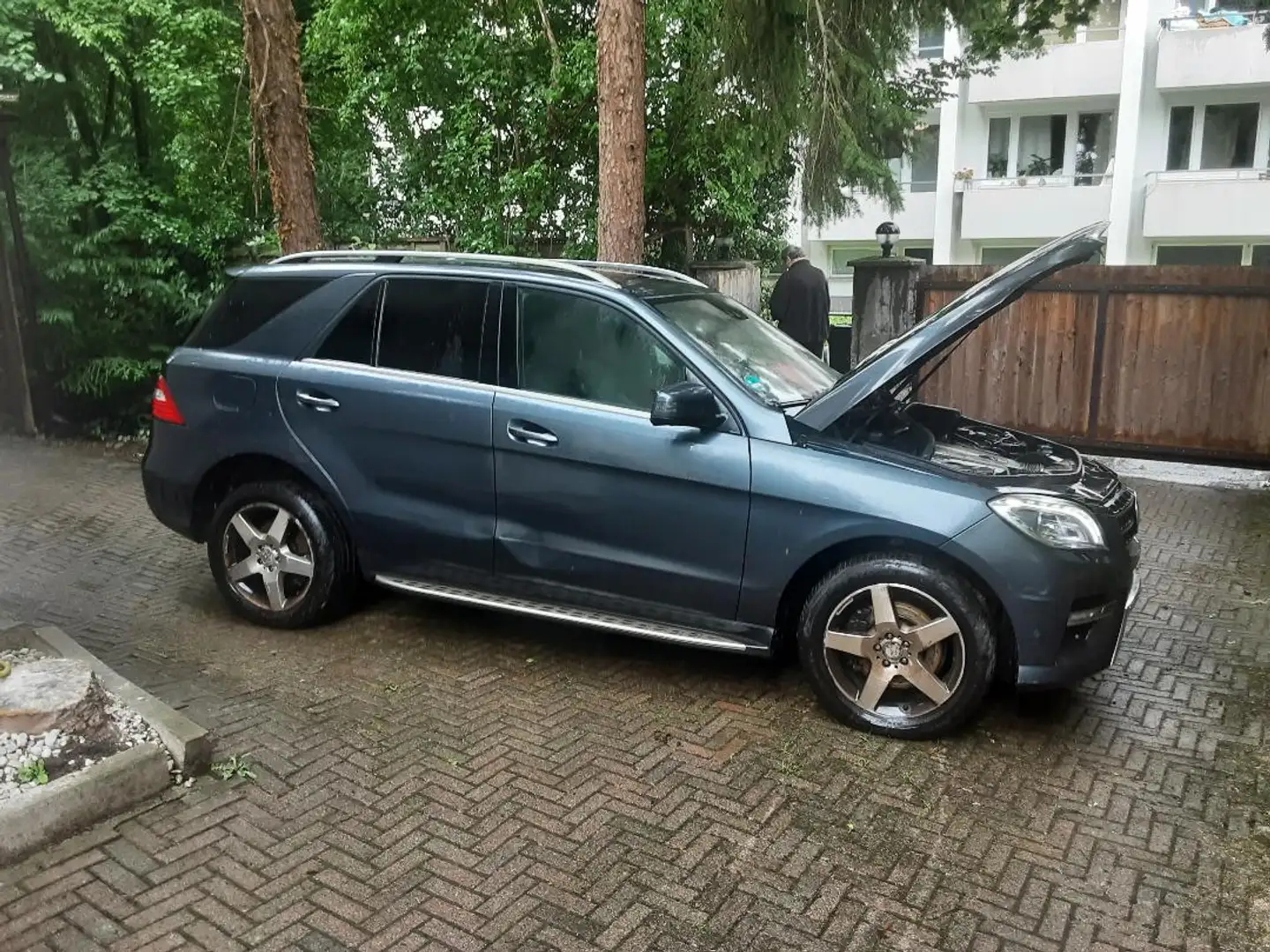 Mercedes-Benz ML 350 ML 350 BlueTEC 4MATIC 7G-TRONIC - 2