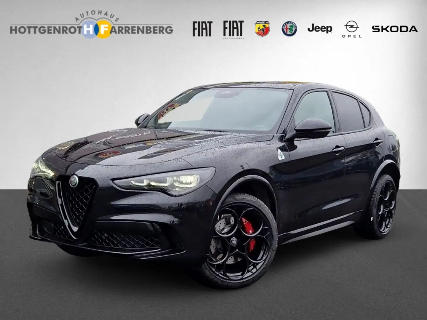 Alfa Romeo Stelvio Quadrifoglio Q4 520PS AD El. Panodach Navi Leder D Schwarz - 1