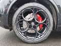 Alfa Romeo Stelvio Quadrifoglio Q4 520PS AD El. Panodach Navi Leder D Schwarz - thumbnail 3