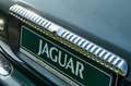 Jaguar Daimler V8 Langversion 3 Jahre Garantie Verde - thumbnail 11