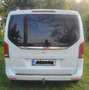 Mercedes-Benz V 250 kompakt 7GTRONIC Avantgarde AHK Standheizung Leder Alb - thumbnail 10