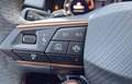 CUPRA Terramar Terramar 1.5 e-Hybrid DSG MATRIX LED CAMERA GARAN Gris - thumbnail 21