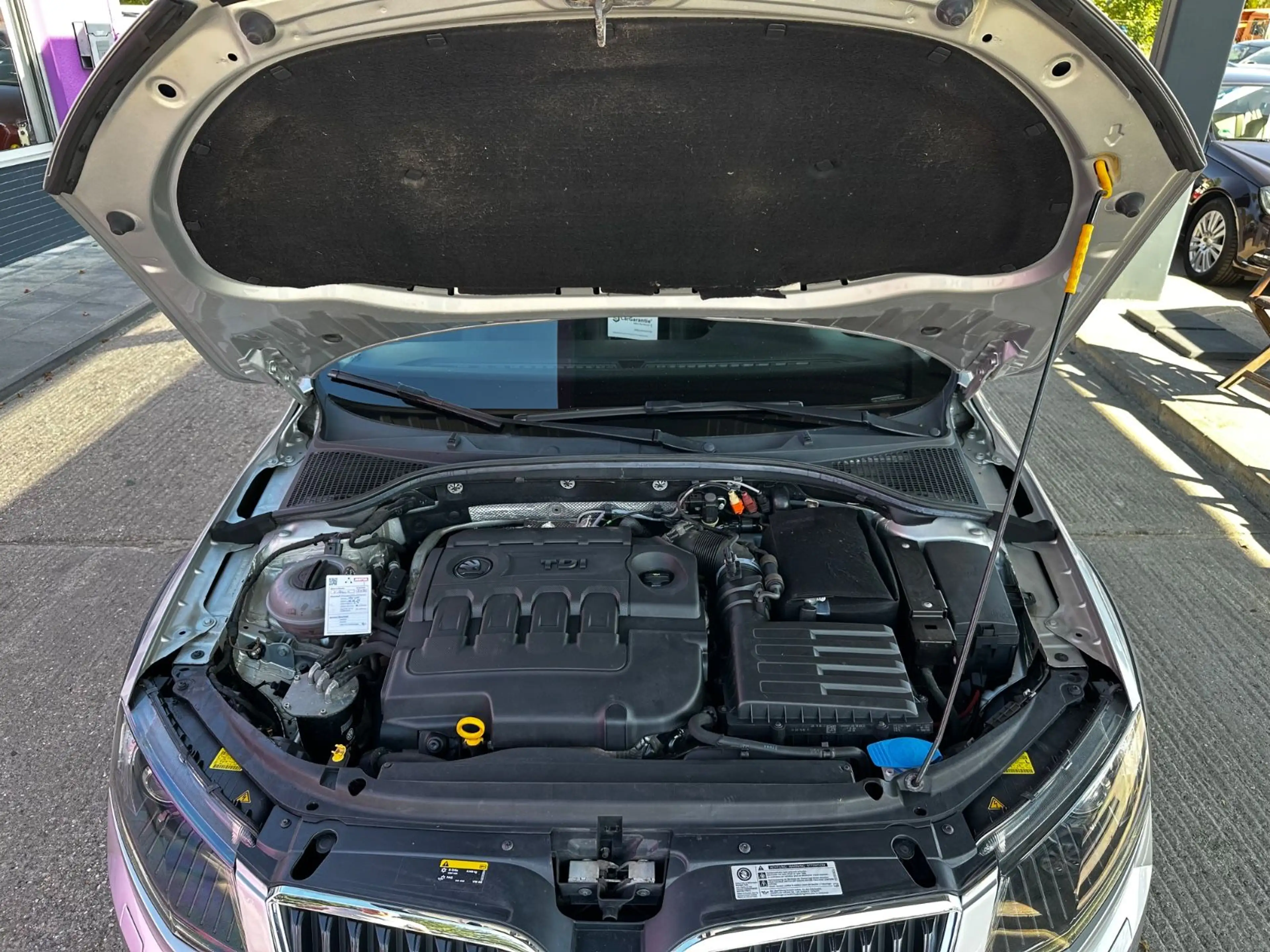 Skoda Octavia Combi Scout 4x4 "ALCANTARA"AHK"NAVI" — photo 3