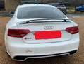 Audi RS5 RS5 Coupe 4.2 V8 quattro s-tronic Blanco - thumbnail 14