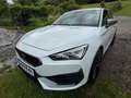 CUPRA Leon Leon SP Kombi VZ 1,4 TSI eHybrid 245 DSG Weiß - thumbnail 1