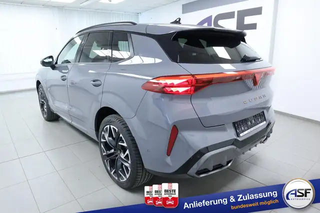 Cupra Terramar view 9