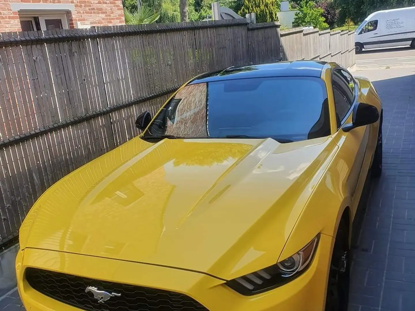 Ford Mustang 2.3 Eco Boost Jaune - 1