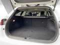 Kia Ceed / cee'd Sportswagon Vision 1.0T Navi Kamera SitzHzg. Wit - thumbnail 12